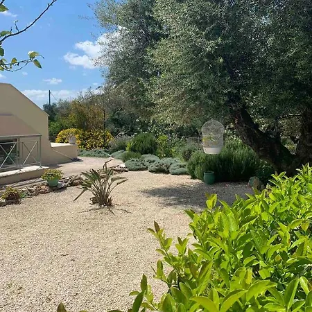 Apartment Agraria 1 Bedroom Basement *