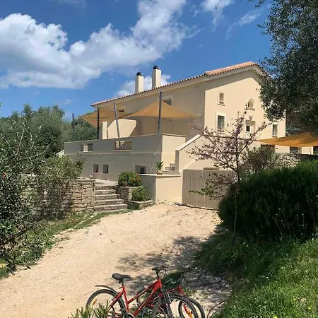 Apartment Agraria 1 Bedroom Basement *